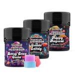 Mushroom Gummies Comic Candy Trippy Tropical Berry Snow gummies Best Gummies Where To Buy RealDeal reddit mushroom LionsMane coupon Strongest THC Buy Online Near Me Best Price For Sale 3pack Binoid