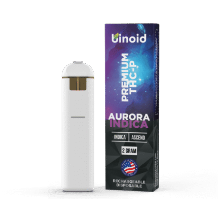 THC-P Rechargeable Disposable - 2 Gram